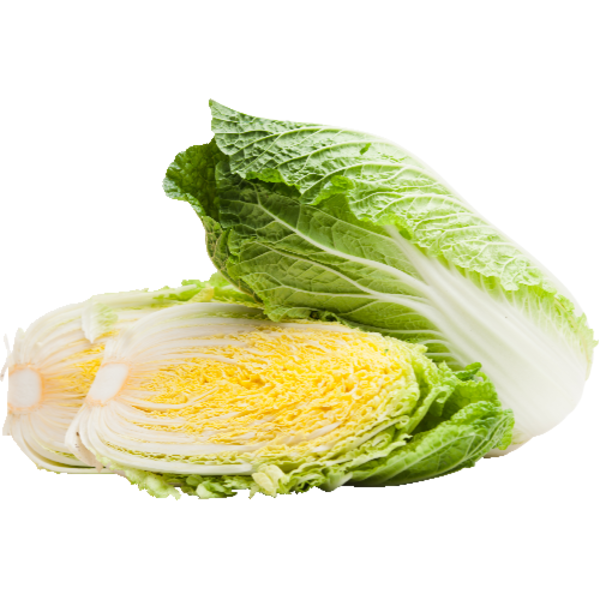 Napa Cabbage