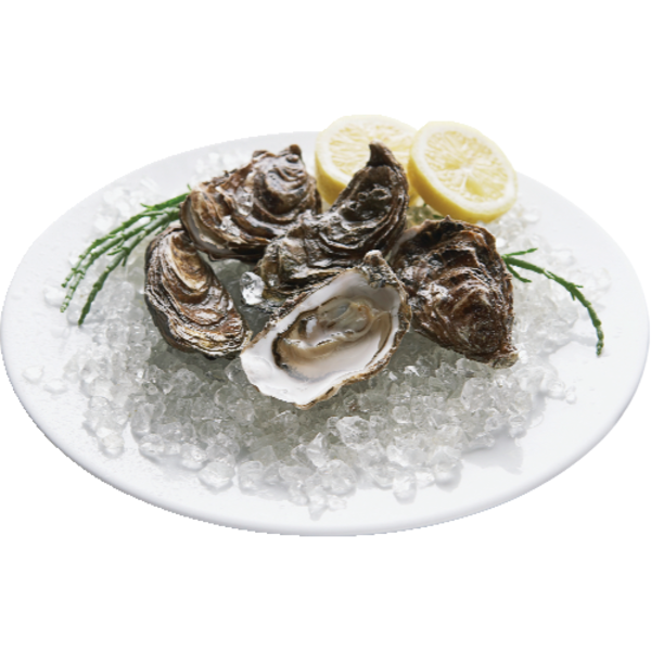 Chesapeake Eastern Select Oysters Same-Day Delivery or Pickup | Sprouts ...