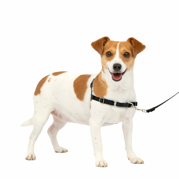 PetSafe Easy Walk Harness, No Pull Dog Harness, Small, Black