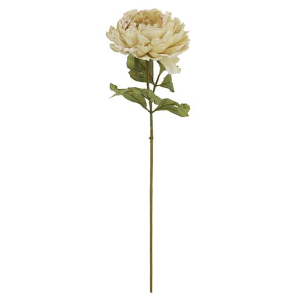 Ashland Peony Stem