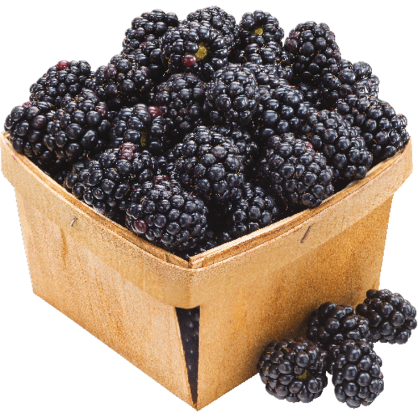 Blackberries