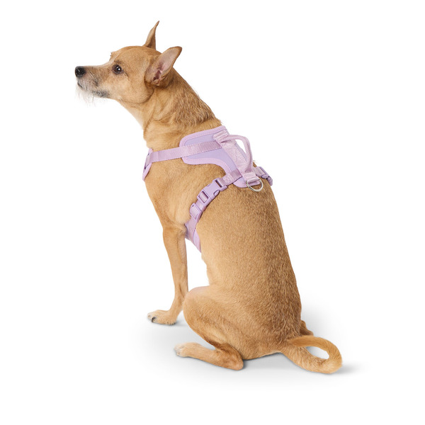 Top Paw Neoprene Comfort Dog Harness, Large - Lavender