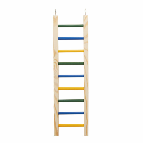All Living Things Ladder, Medium - Natural