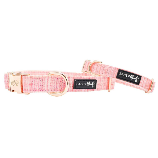 Sassy Woof Dog Collar, M - Dolce Rose