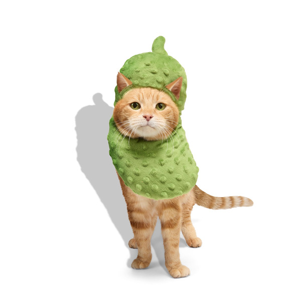 Bootique Avocato Cat Costume