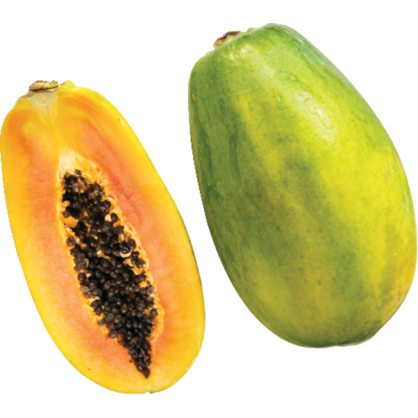 Maradol Papaya