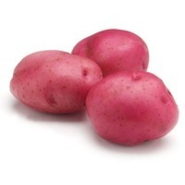 Baby Food Red Potatoes Baby Food Red Potatoes