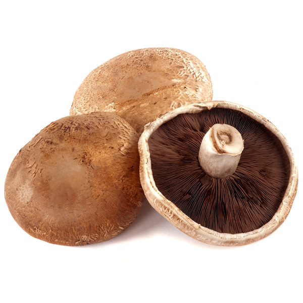 Portabello Mushroom