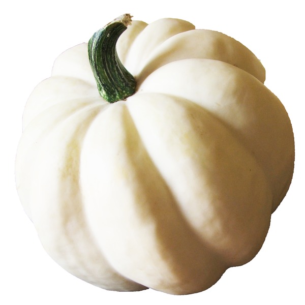 white acorn squash