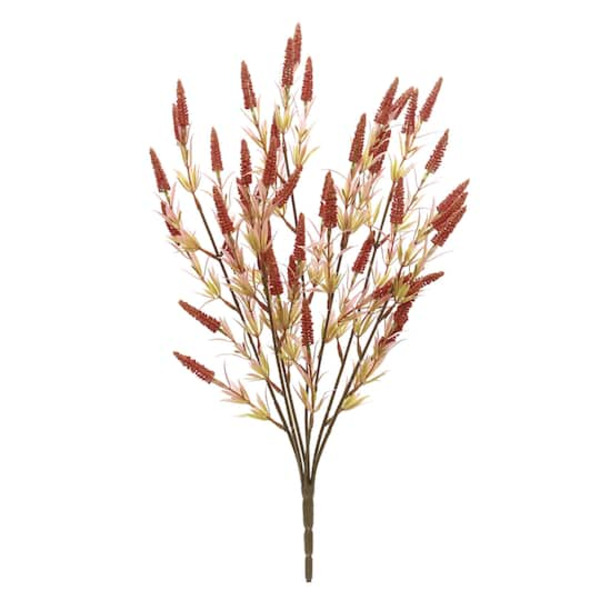 Ashland Heather Berry Bush - Orange