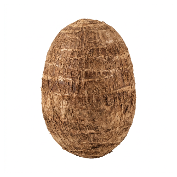 Taro Root Same-Day Delivery or Pickup | Fresh Thyme Market