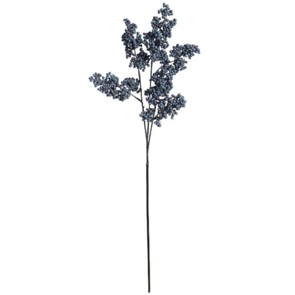 Ashland Blue Berry Stem