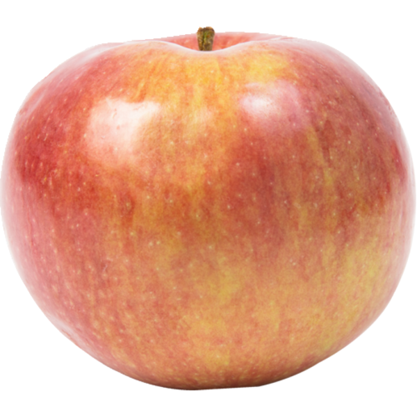 Mac (Apple) - ponzu Japanese Yuzu Apple – Estiva Collection