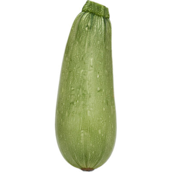 Mexican Gray Squash
