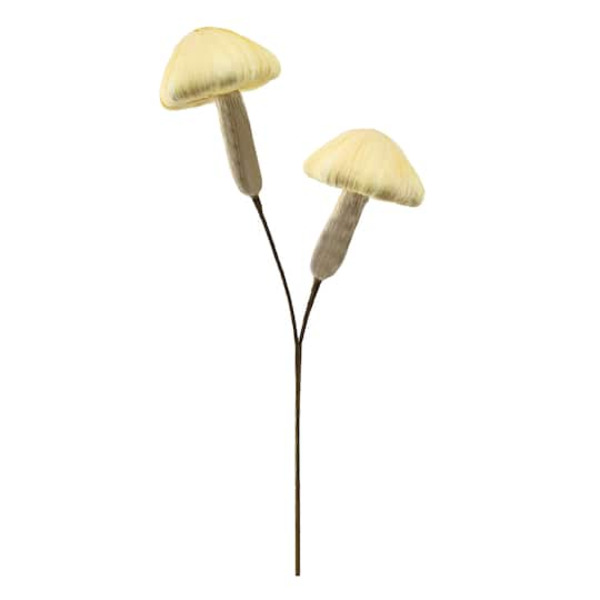 Ashland Mushroom Pick