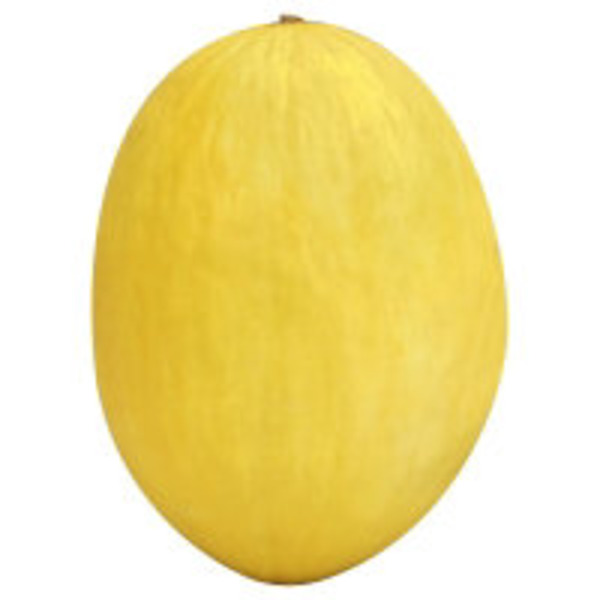 Canary Melon