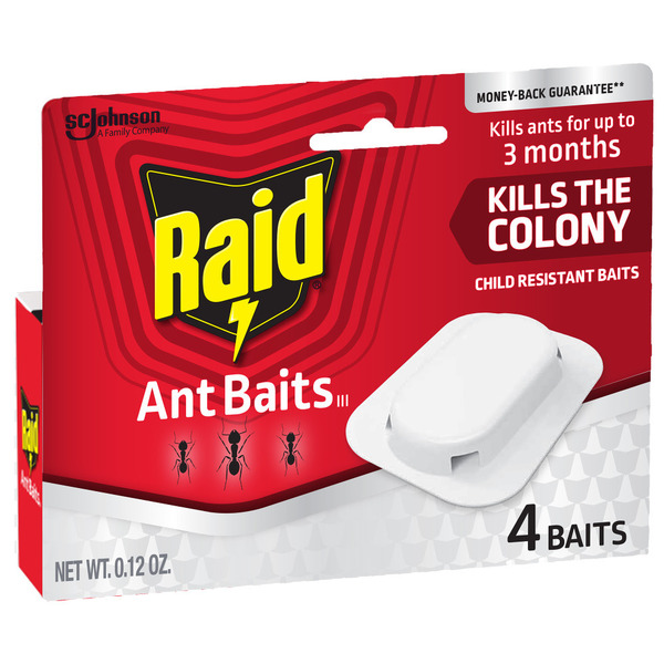 Raid® Ant Baits Indoor Ant Killer, 4 Baits Same-Day Delivery or