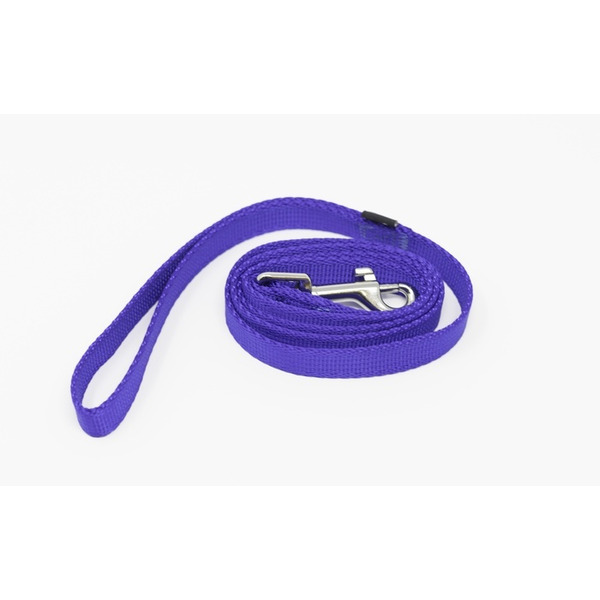 Play On Basic Dog Leash, 5/8 in x 4 ft - Blue
