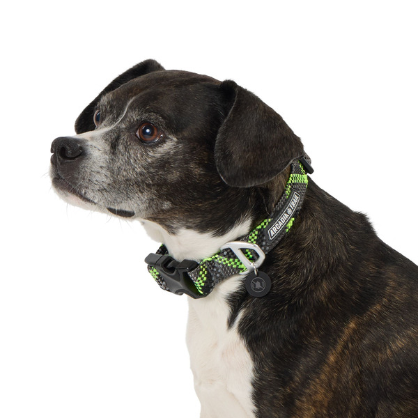 Arcadia Trail Paracord Dog Collar, Large