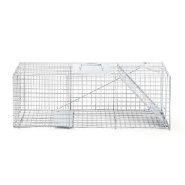 County Line 1-Door Catch-and-Release Live Animal Trap, 32 x 10 x 12in.