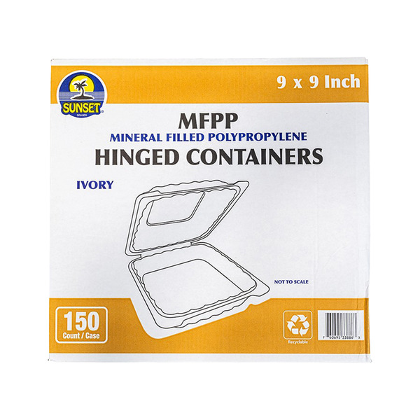 Sunset Container Hinged 9in 1-Compartment