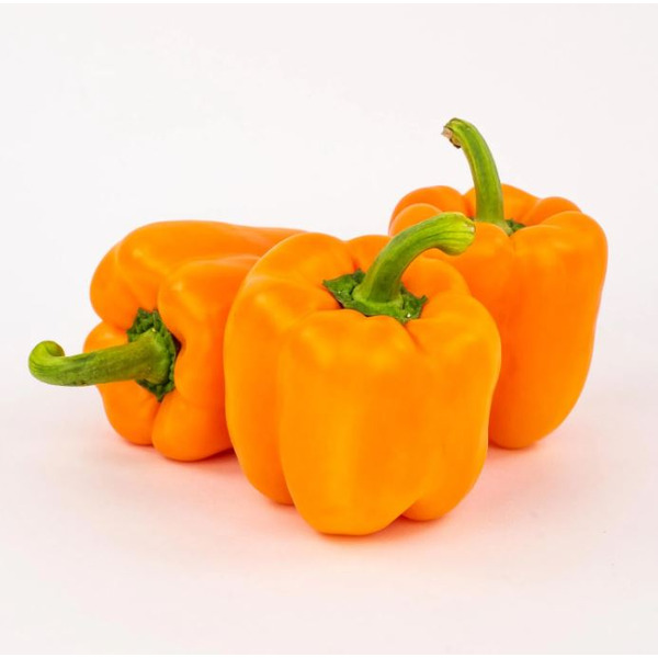 Orange Bell Pepper