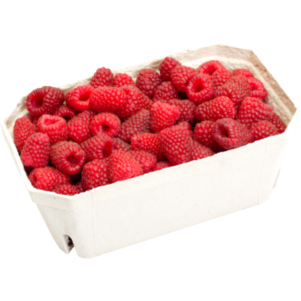 Organic Raspberries