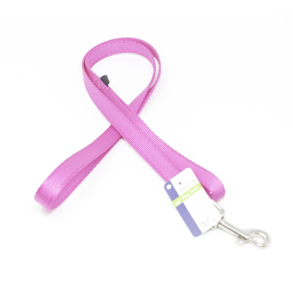 Play On Basic Dog Leash, 5/8 in x 4 ft - Pink