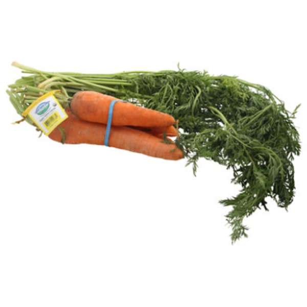 Organic Carrot Bunch