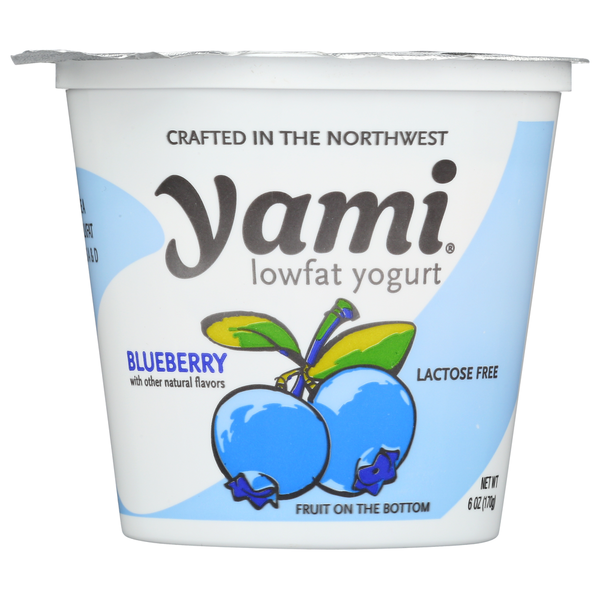 Yami Yogurt Low Fat Lactose Free Same-Day Delivery or Pickup