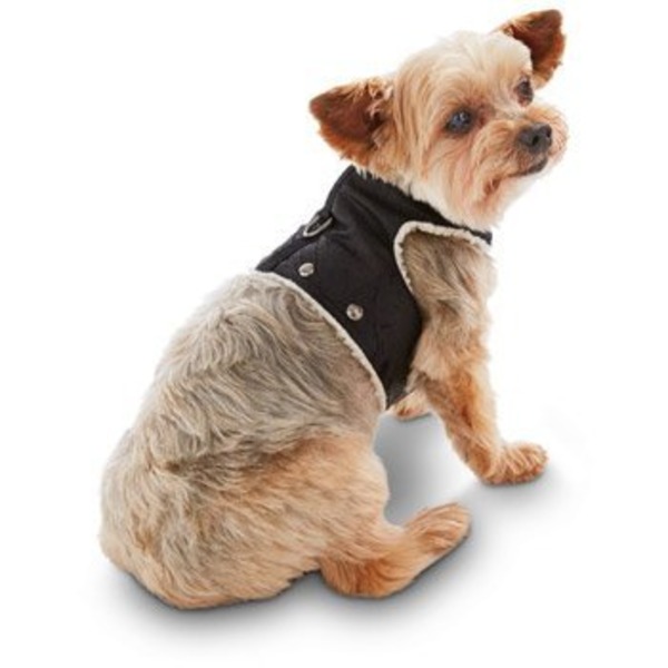 Petco Wag A Tude Black Faux Leather Studded Dog Harness Small (each