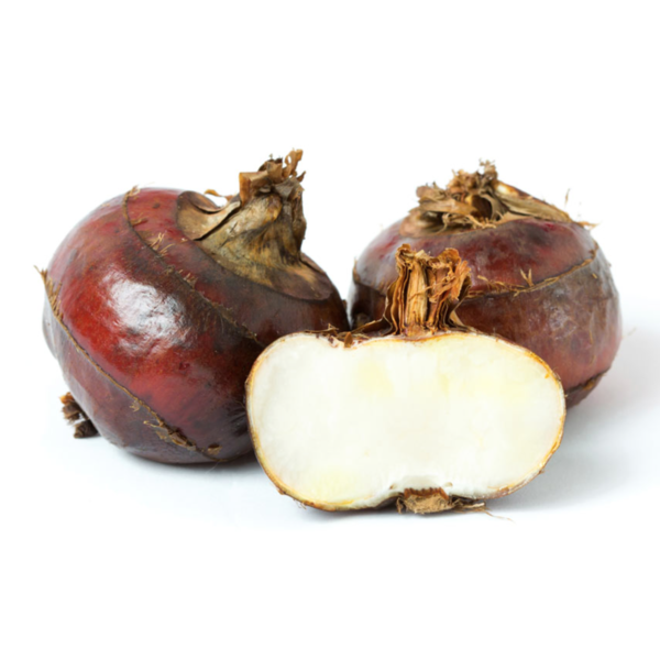 Dynasty Sliced Water Chestnuts from Sigona's Farmers Market Instacart