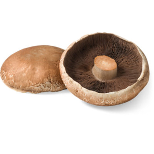 Portabello Mushroom