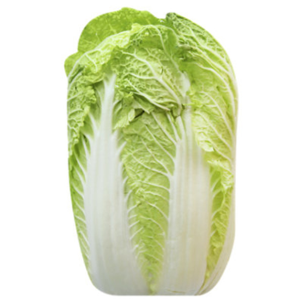 Napa Cabbage Leaves