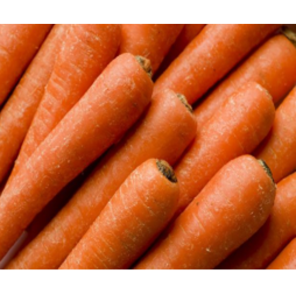 Jumbo Carrots - 50 lbs