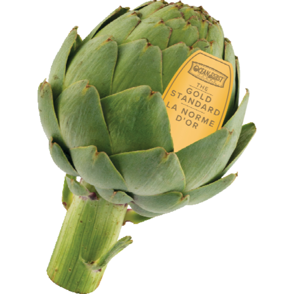 Artichoke