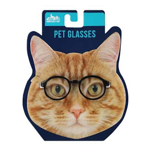 Pawsitively Fun! Pet Glasses