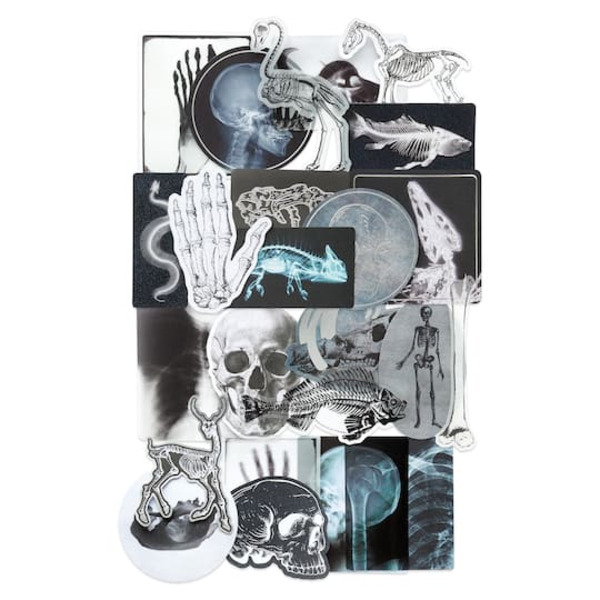 Recollections Halloween Bones & X-Rays Die-Cut Ephemera