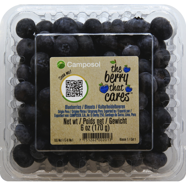 Camposol Blueberries Same-Day Delivery or Pickup | Woodman's Food
