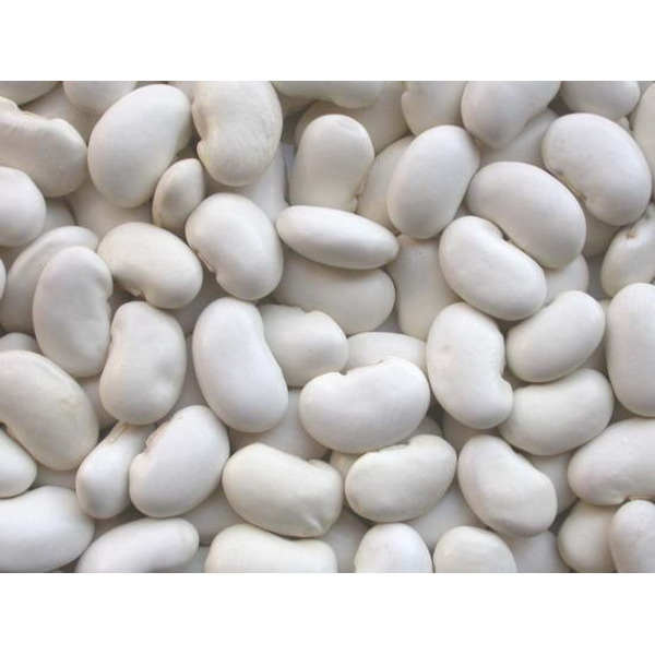 Heartland - Large Lima Bean - 25 lb
