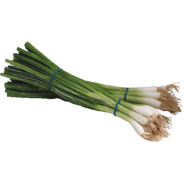 Green Onion