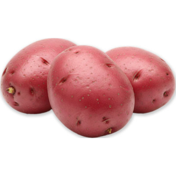 Red Potato