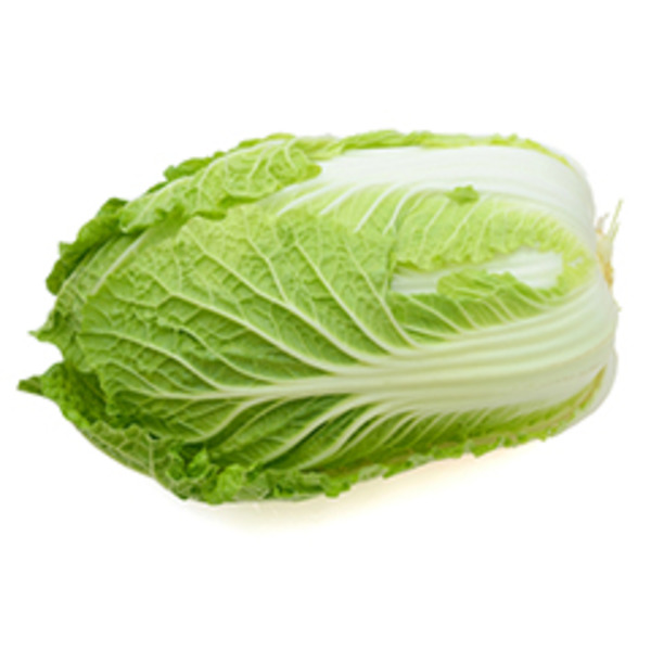 Napa Cabbage