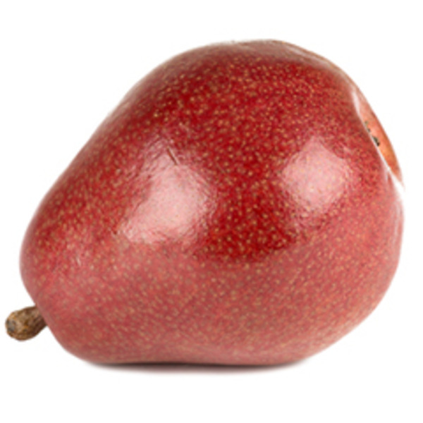 Anjou Pear