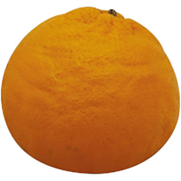 Bernard Egan & Company Pixie Tangerines