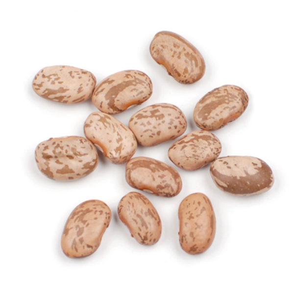 Pinto Bean - 25 lb