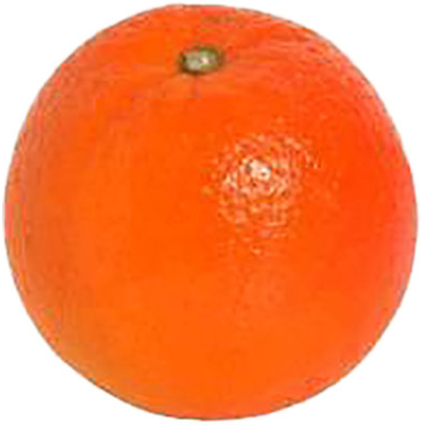 Cecelia Minneola Tangelo