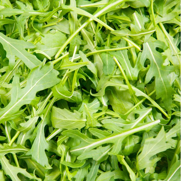 Organic Arugula