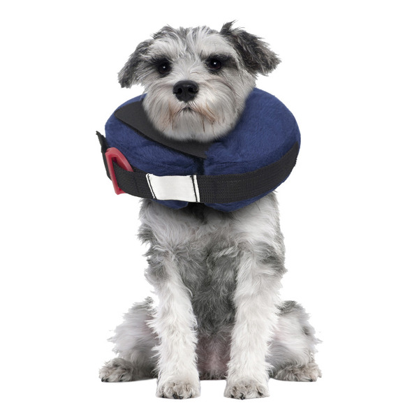 Calm Paws Basic Inflatable Recovery Dog Collar