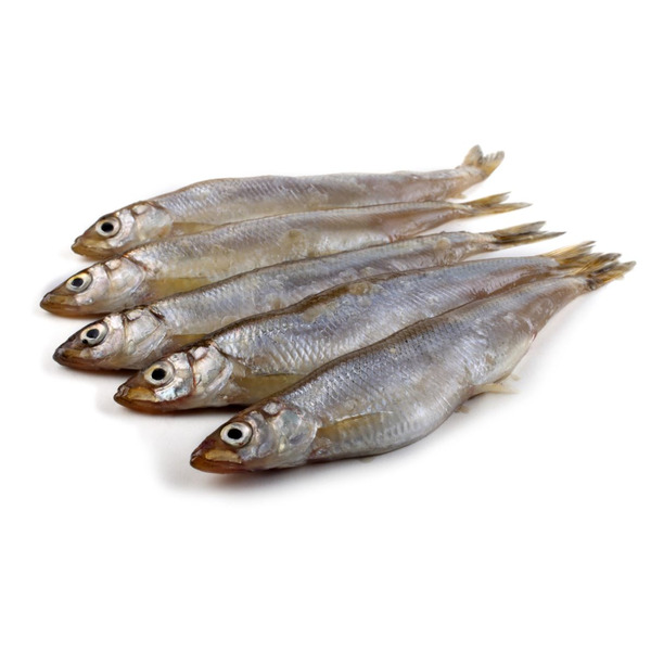 Whole Smelts - 10 lbs